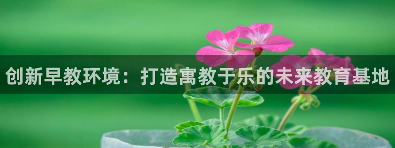 威九国际旗下艺人都有谁:创新早教环境:打造寓教于乐的未来教育基地