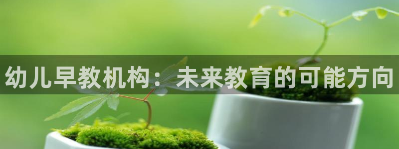威九国际78mb官网：幼儿早教机构：未来教育的可能方向