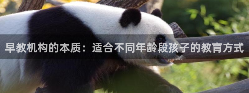 威九国际能提现吗安全吗：早教机构的本质：适合不同年龄段孩子的教育方式