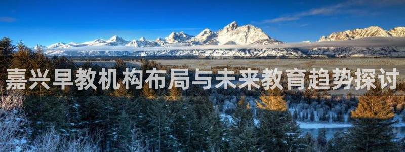 威九国际真人游戏：嘉兴早教机构布局与未来教育趋势探讨