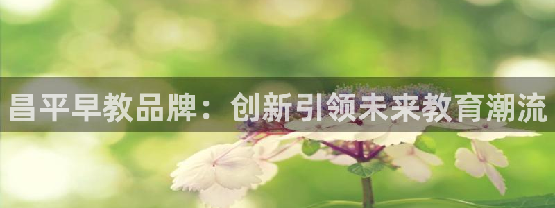 威九国际网站传媒招聘：昌平早教品牌：创新引领未来教育潮流