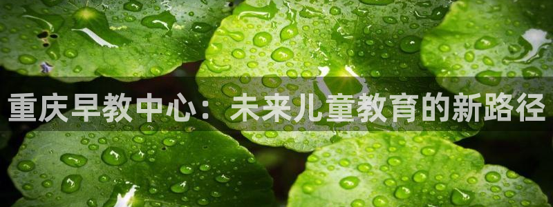 威九国际男主:重庆早教中心:未来儿童教育的新路径