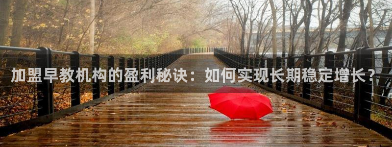 威九国际APP:加盟早教机构的盈利秘诀:如何实现长期稳定增长?