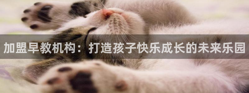 威九国际抡里：加盟早教机构：打造孩子快乐成长的未来乐园