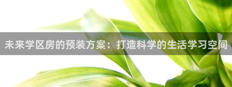 威九国际黑钱：未来学区房的预装方案：打造科学的生活学习空间