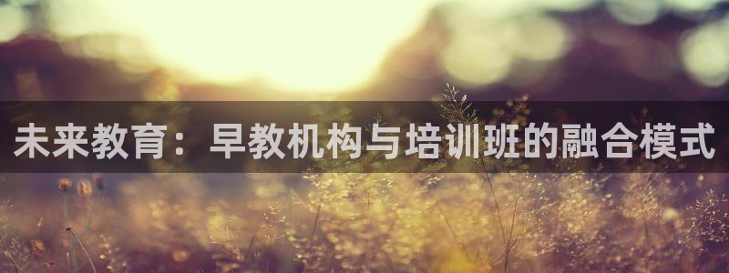 威九国际空降:未来教育:早教机构与培训班的融合模式