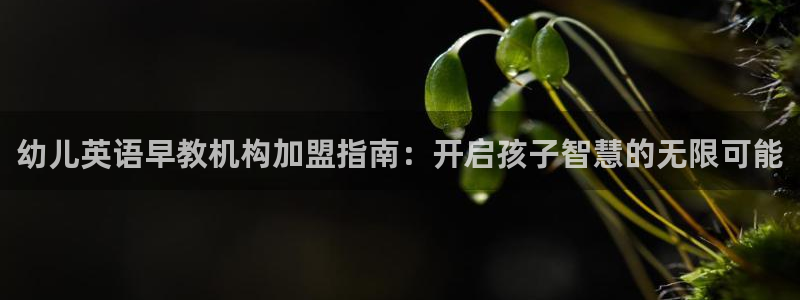 威九国际旗下艺人都有谁:幼儿英语早教机构加盟指南:开启孩子智慧的无限可能