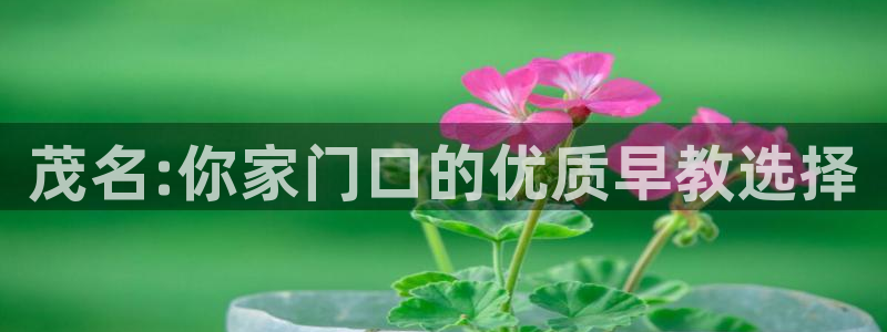 威九国际和之前:茂名:你家门口的优质早教选择