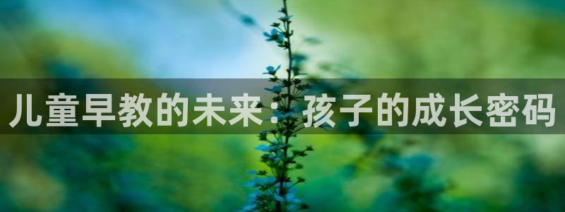威九国际网站进入客服中心了吗:儿童早教的未来:孩子的成长密码