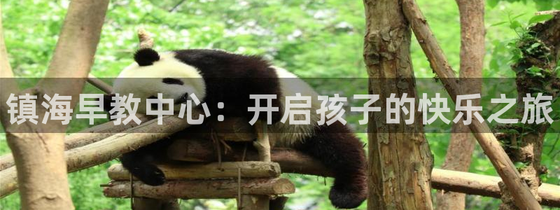威九国际网站是多少:镇海早教中心:开启孩子的快乐之旅