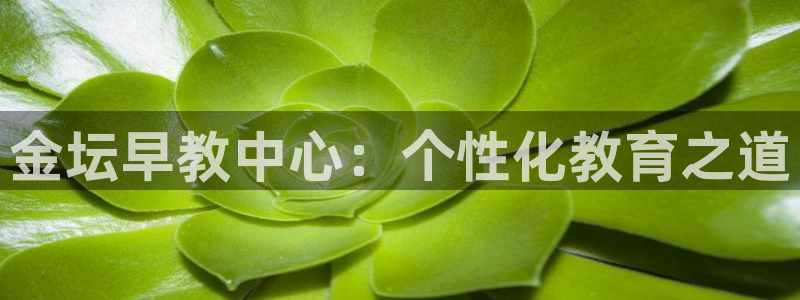 威九国际女明星:金坛早教中心:个性化教育之道