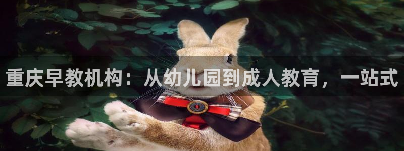 威九国际发布新版eBzxin2Tp:重庆早教机构:从幼儿园到成人教育,一站式