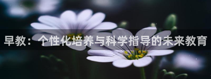 威九国际78ma:早教:个性化培养与科学指导的未来教育