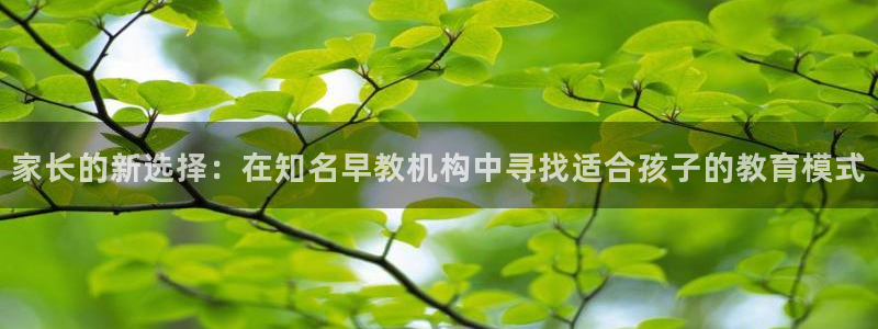 威九国际Info:家长的新选择:在知名早教机构中寻找适合孩子的教育模式