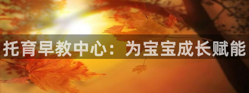 威九国际网站入囗:托育早教中心:为宝宝成长赋能