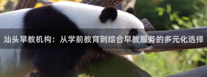 威九国际下载:汕头早教机构:从学前教育到综合早教服务的多元化选择