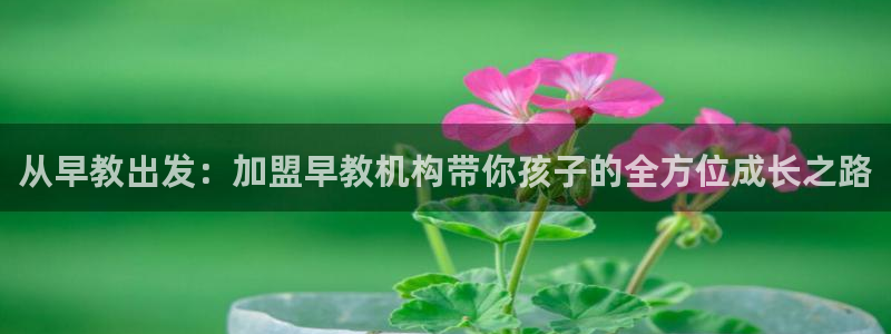 威九国际客服电话号码查询:从早教出发:加盟早教机构带你孩子的全方位成长之路