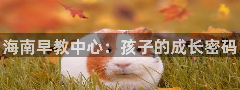 威九国际取款不会被骗吧是真的吗：海南早教中心：孩子的成长密码