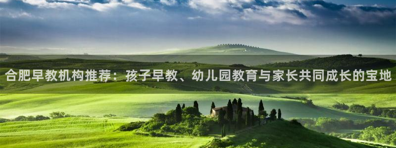 威九国际最受欢迎的功能：合肥早教机构推荐：孩子早教、幼儿园教育与家长共同成长的宝