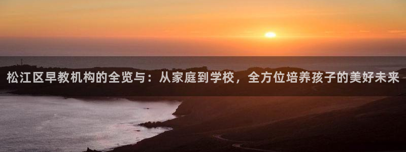 威九国际66m：松江区早教机构的全览与：从家庭到学校，全方位培养孩子的美好未来