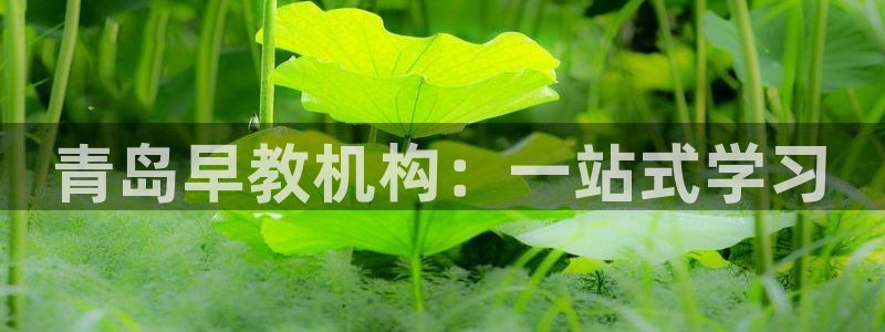 威九国际免费版：青岛早教机构：一站式学习