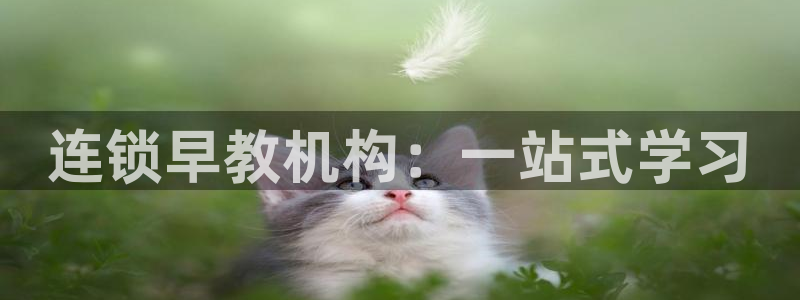 威九国际78mb官网:连锁早教机构:一站式学习