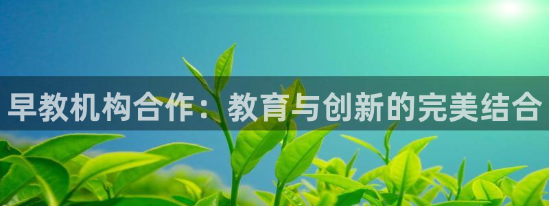 威九国际FT：早教机构合作：教育与创新的完美结合