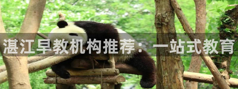 威九国际集团66m一6在线:湛江早教机构推荐:一站式教育