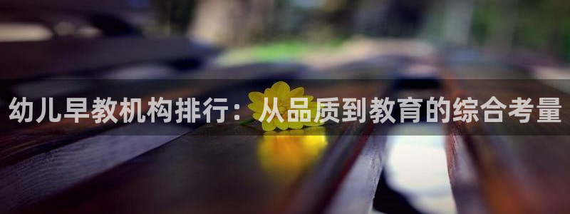 威九国际66m:幼儿早教机构排行:从品质到教育的综合考量