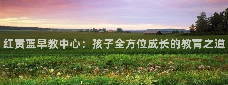 威九国际网站进入客服中心了吗:红黄蓝早教中心:孩子全方位成长的教育之道