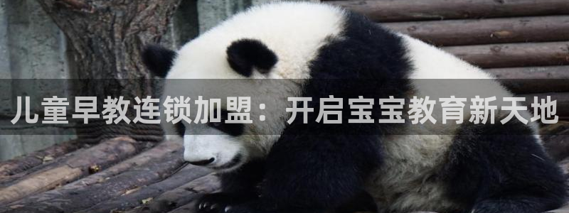 威九国际客服电话号码是多少:儿童早教连锁加盟:开启宝宝教育新天地