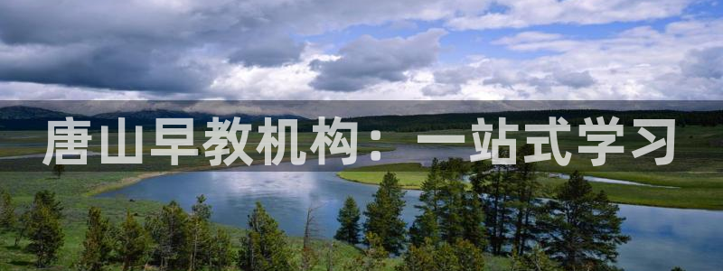 威九国际网站传媒：唐山早教机构：一站式学习