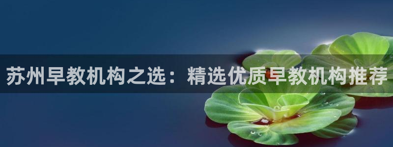 威九国际66m66m：苏州早教机构之选：精选优质早教机构推荐