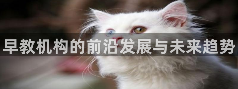 威九国际可以提现吗是真的吗：早教机构的前沿发展与未来趋势