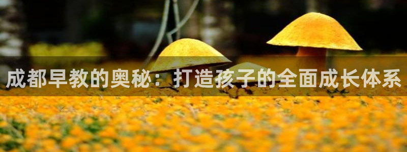 威九国际网站：成都早教的奥秘：打造孩子的全面成长体系