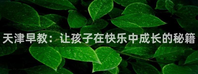 威九国际旗下艺人有谁：天津早教：让孩子在快乐中成长的秘籍