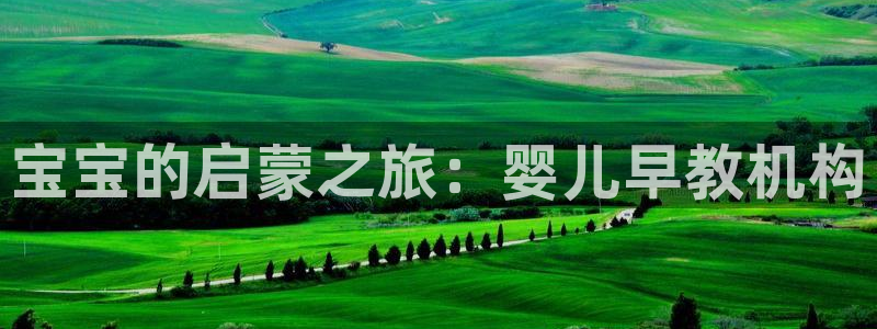 威九国际66m66m：宝宝的启蒙之旅：婴儿早教机构