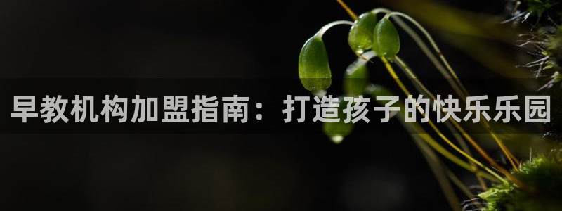 威九国际免费网络站：早教机构加盟指南：打造孩子的快乐乐园