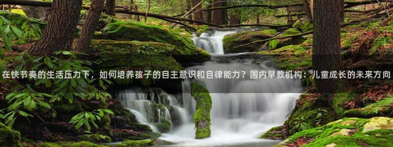 威九国际APP:在快节奏的生活压力下,如何培养孩子的自主意识和自律能力?国内早教