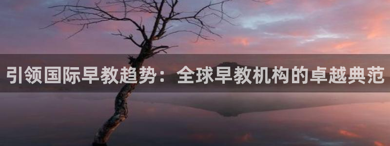 威九国际v96 bet会黑吗：引领国际早教趋势：全球早教机构的卓越典范