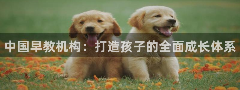 威九国际在哪里：中国早教机构：打造孩子的全面成长体系