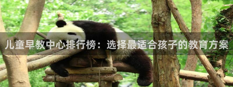威九国际客服电话号码:儿童早教中心排行榜:选择最适合孩子的教育方案