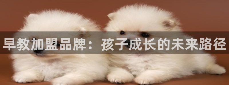 威九国际国精彩片段:早教加盟品牌:孩子成长的未来路径