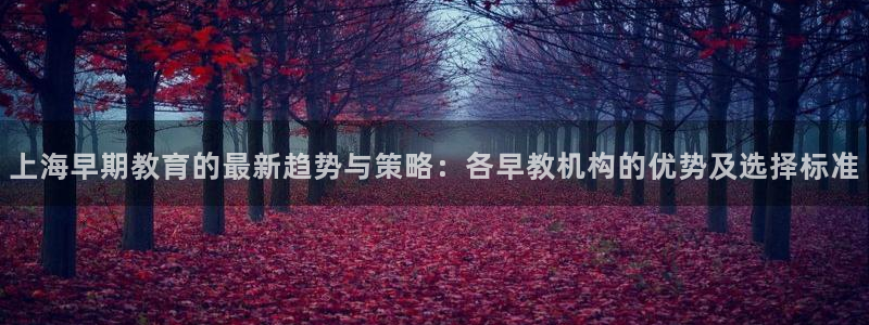 威九国际免费版：上海早期教育的最新趋势与策略：各早教机构的优势及选择标准