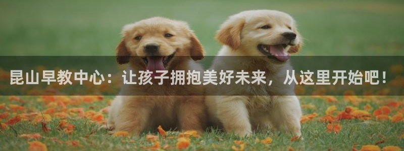 威九国际网站入口&rdpuo：昆山早教中心：让孩子拥抱美好未来，从这里开始吧！