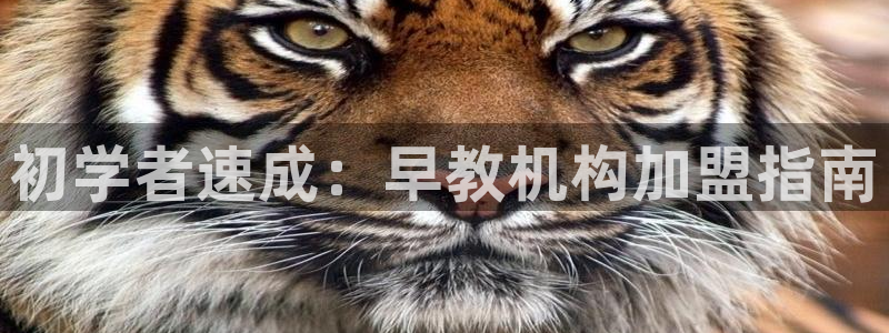 威九国际特殊奖励：初学者速成：早教机构加盟指南