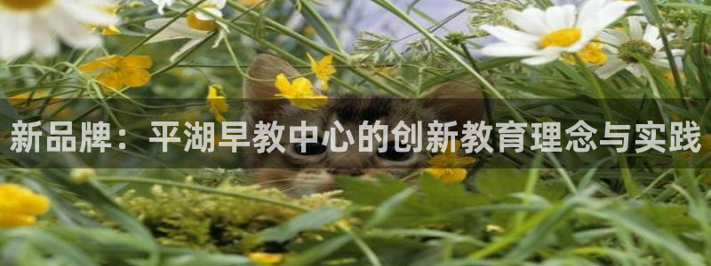 威九国际APP那个地方：新品牌：平湖早教中心的创新教育理念与实践