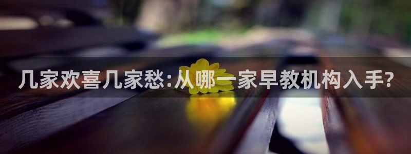 威九国际取款多到账：几家欢喜几家愁:从哪一家早教机构入手?