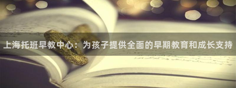威九国际清砖码头怎么样：上海托班早教中心：为孩子提供全面的早期教育和成长支持