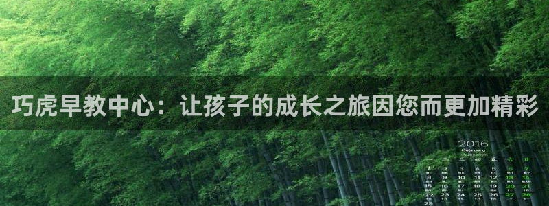 威九国际系列：巧虎早教中心：让孩子的成长之旅因您而更加精彩